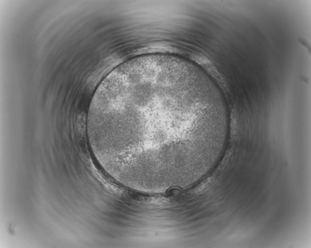 X0000102021233200808151308
