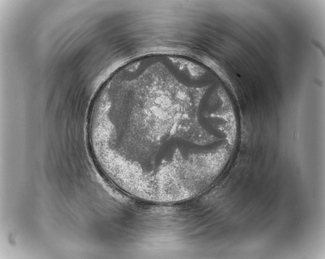 X0000102021237200808151308
