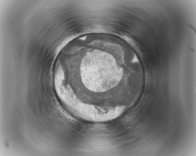 X0000102021238200808151308