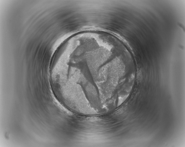 X0000102021239200808151308