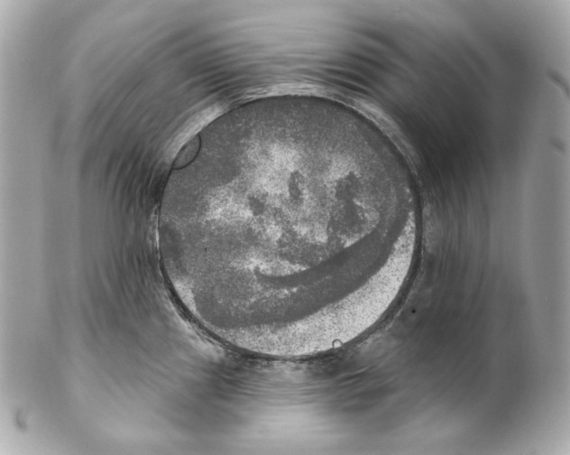 X0000102021241200808151308