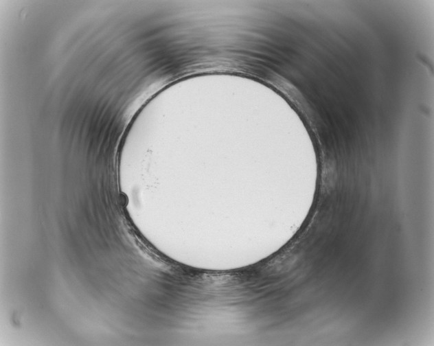 X0000102021242200808151308