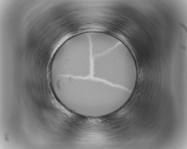 X0000102021243200808151308