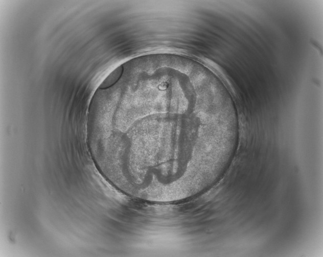 X0000102021244200808151308