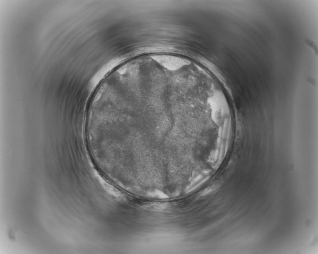X0000102021245200808151308
