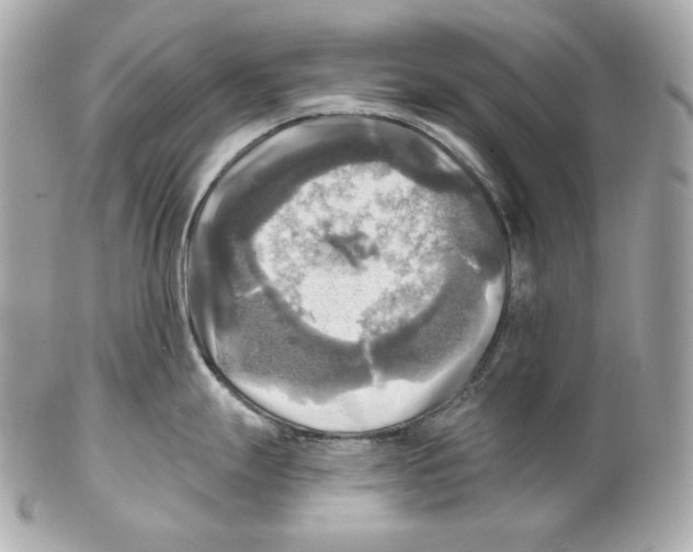 X0000102021247200808151308