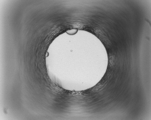 X0000102021249200808151307