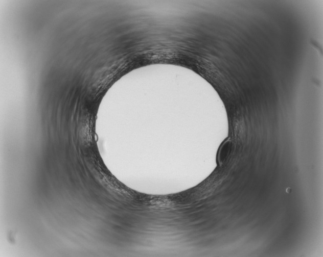X0000102021250200808151307