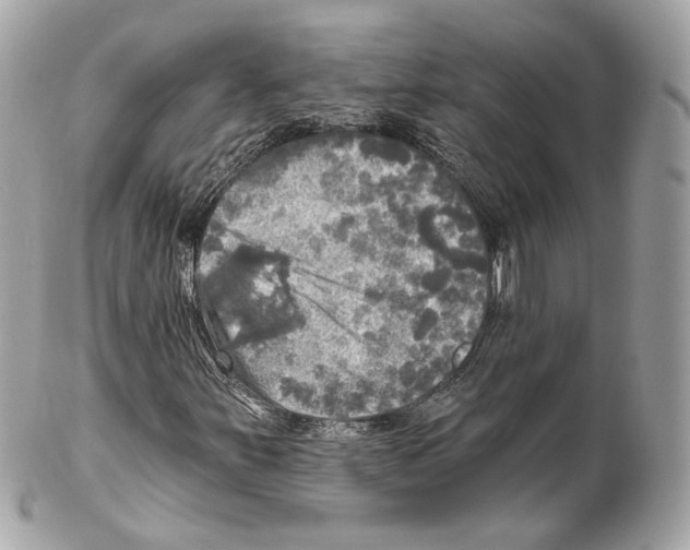 X0000102021251200808151307