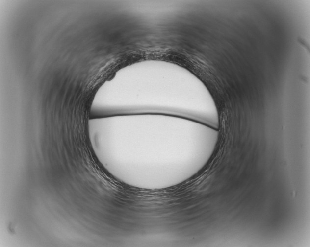 X0000102021252200808151307