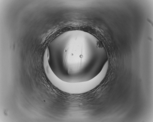 X0000102021253200808151307
