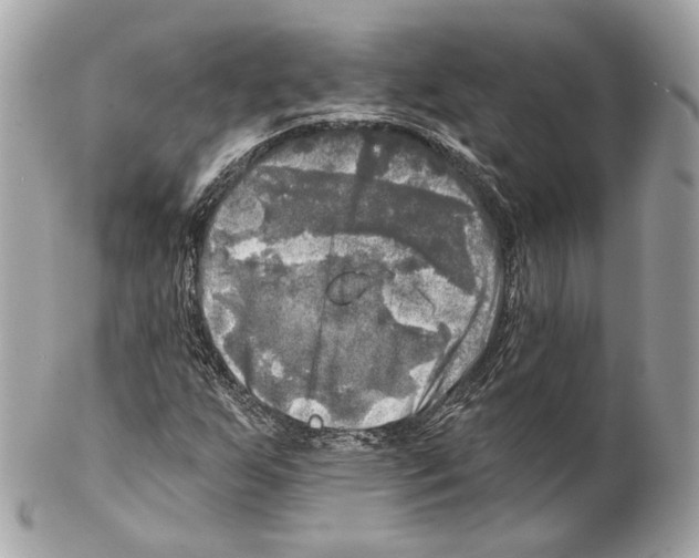 X0000102021255200808151307