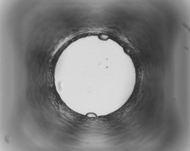 X0000102021256200808151307