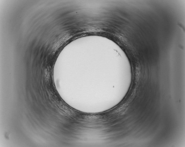 X0000102021257200808151307