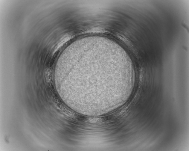 X0000102021258200808151307