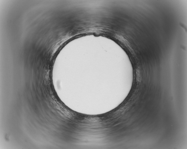 X0000102021260200808151307