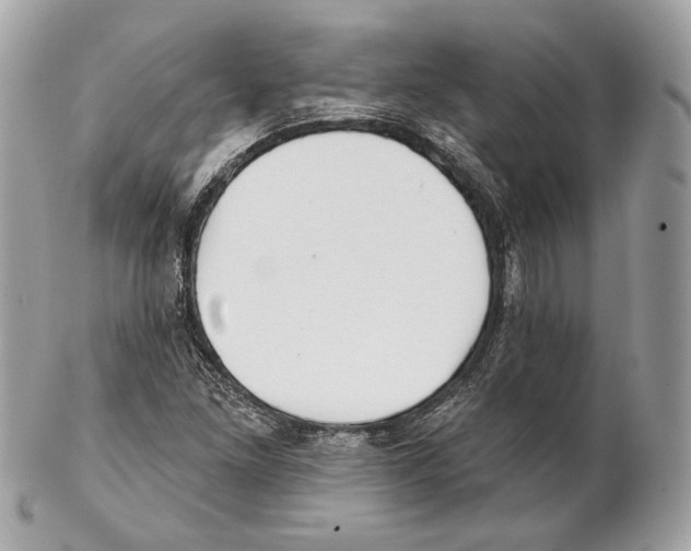X0000102021261200808151307