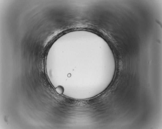 X0000102021262200808151307