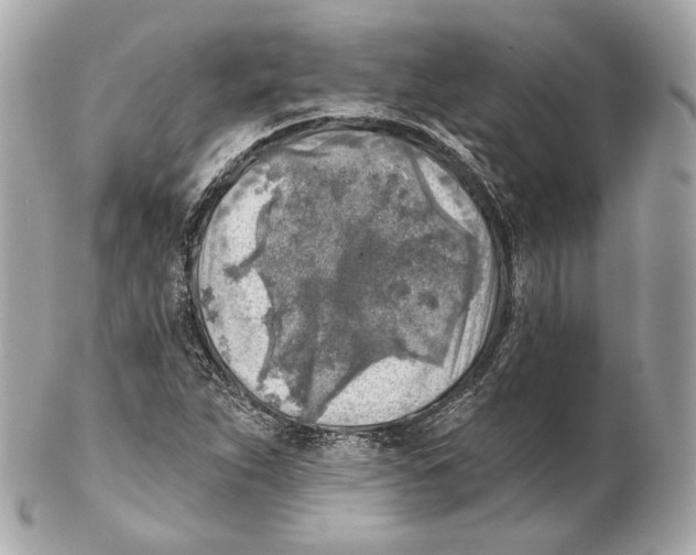 X0000102021263200808151307