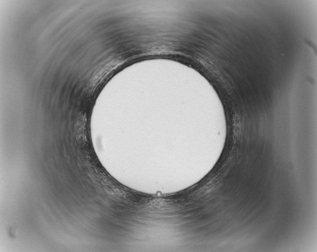 X0000102021265200808151307