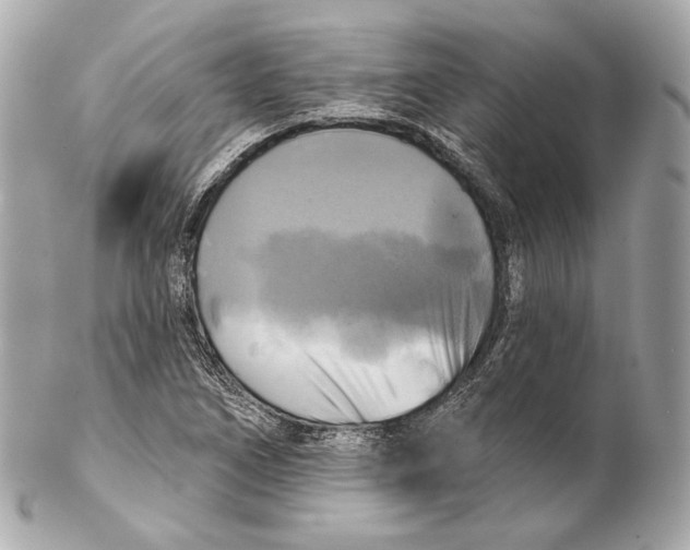X0000102021266200808151307