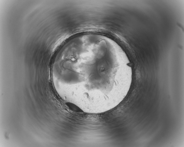 X0000102021267200808151307