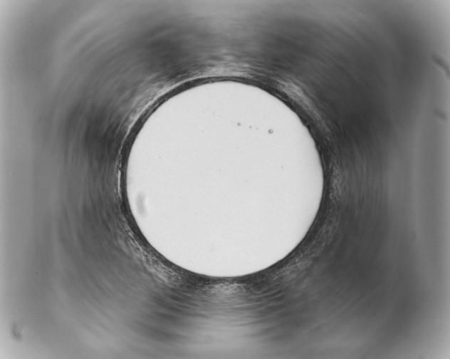 X0000102021268200808151307