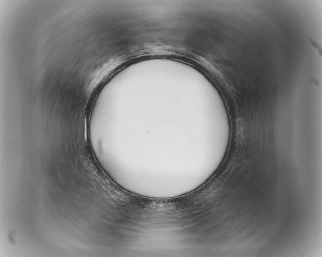 X0000102021269200808151307