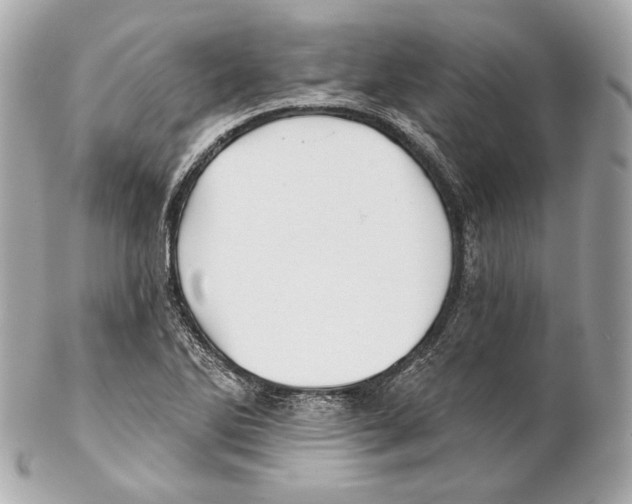 X0000102021270200808151307