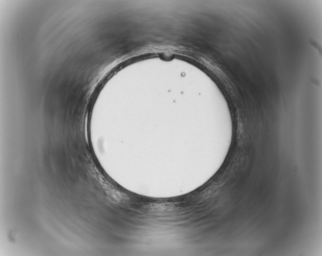 X0000102021272200808151307