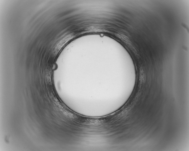 X0000102021273200808151307