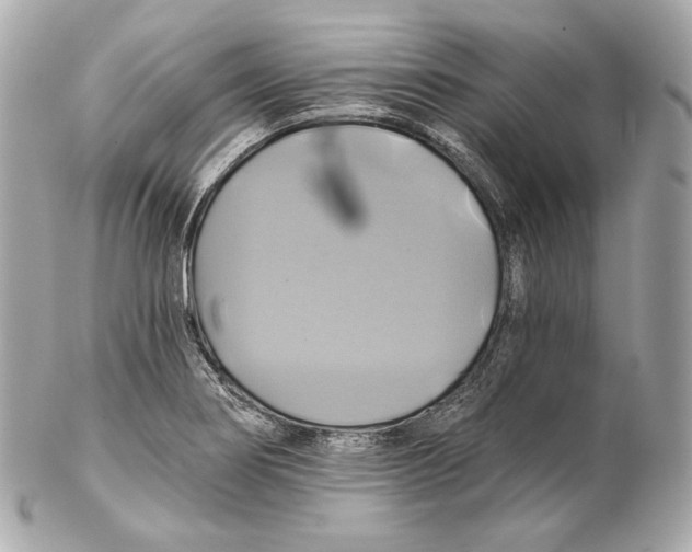 X0000102021274200808151307