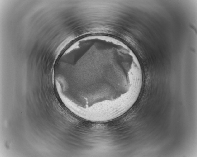 X0000102021275200808151307
