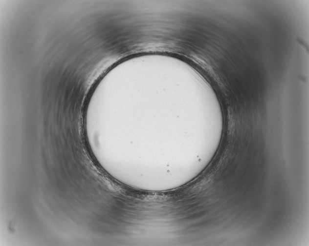 X0000102021277200808151307