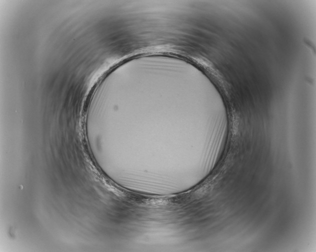 X0000102021278200808151307