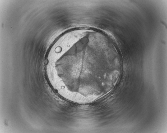 X0000102021279200808151307