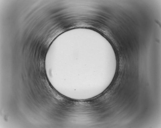 X0000102021281200808151307