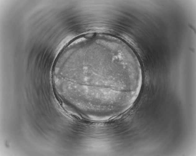 X0000102021283200808151307