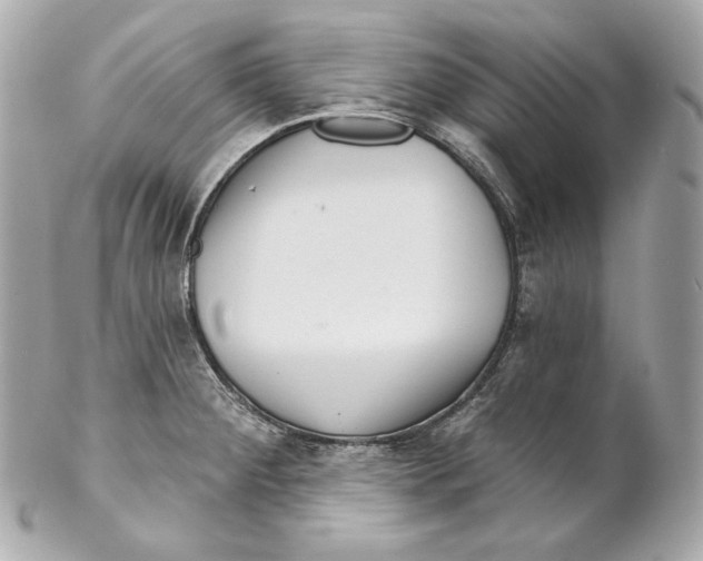 X0000102021284200808151307