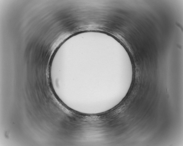 X0000102021285200808151306