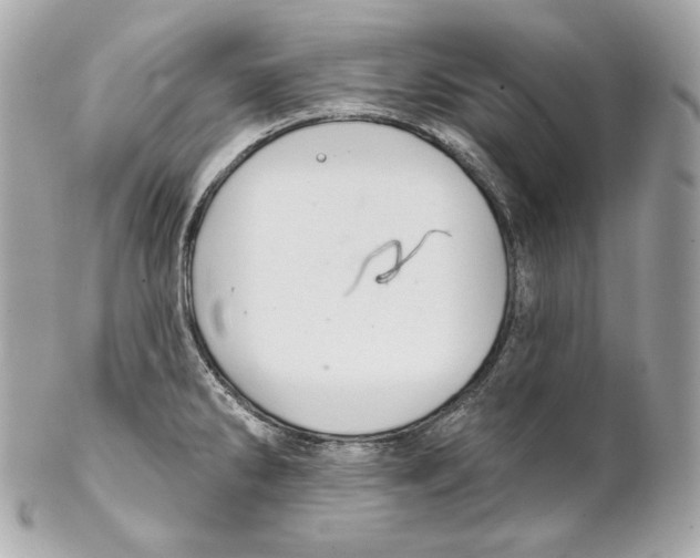 X0000102021286200808151306