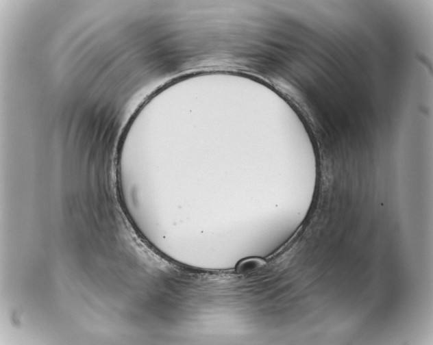 X0000102021288200808151306