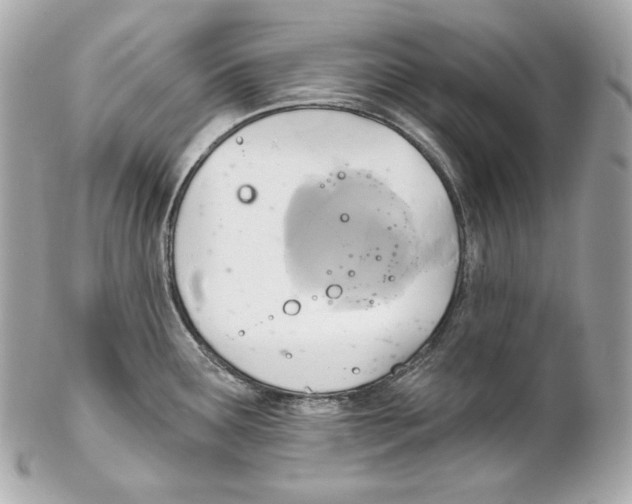 X0000102021291200808151306