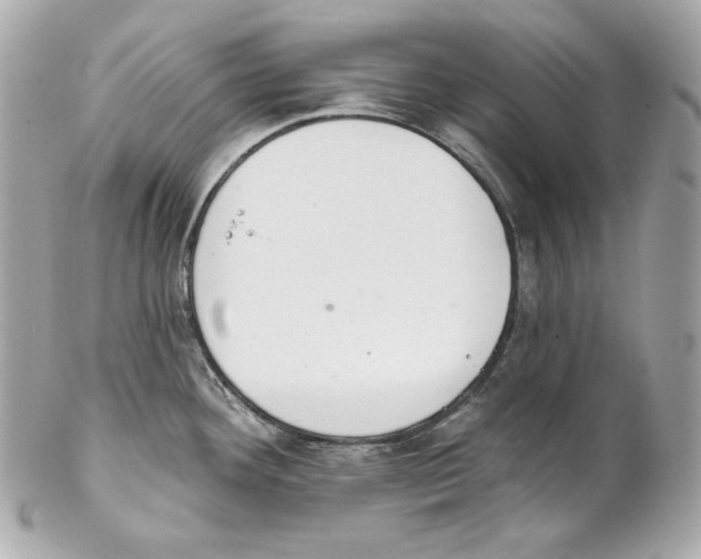 X0000102021292200808151306
