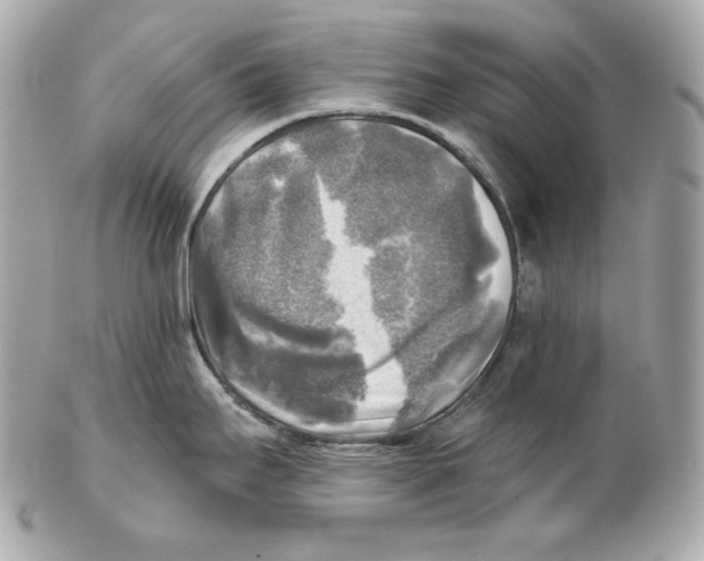 X0000102021295200808151306