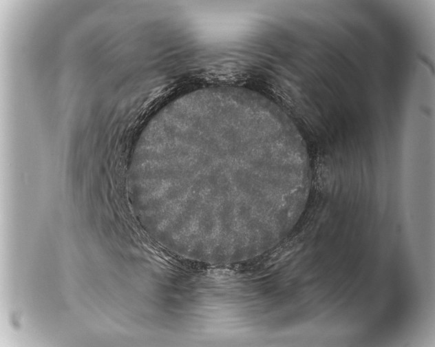 X0000102021297200808151306