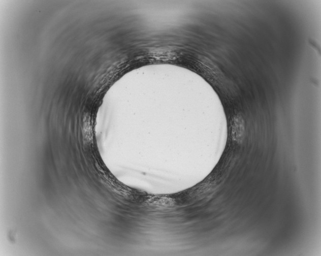 X0000102021298200808151306