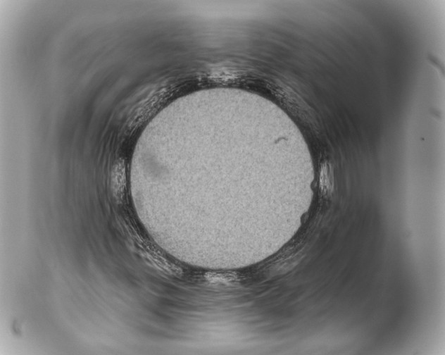 X0000102021299200808151306