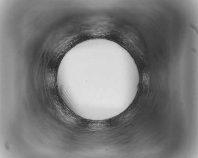 X0000102021300200808151306