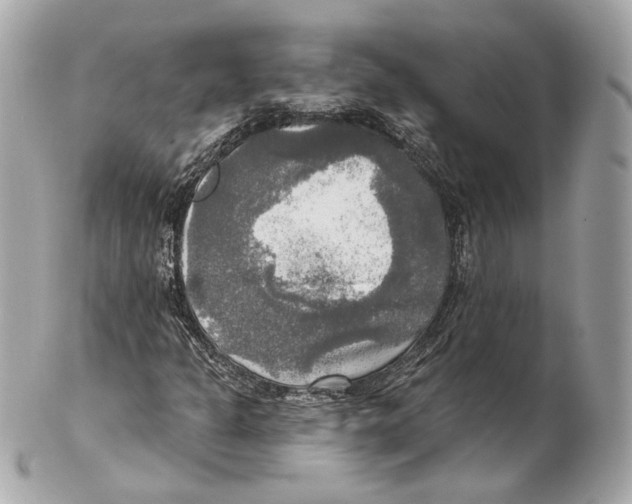 X0000102021301200808151306
